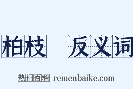 柏枝緑反义词是什么意思的图片